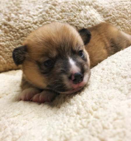 52908188_383576255790243_1836235099000012800_n