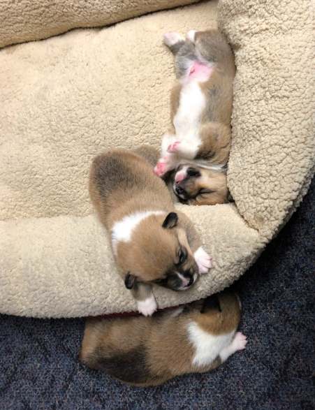 53080049_384761992340641_2919011820498845696_n